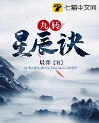 九转星辰诀封面