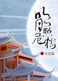 明月照危楼封面