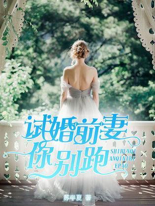 试婚前妻你别跑封面