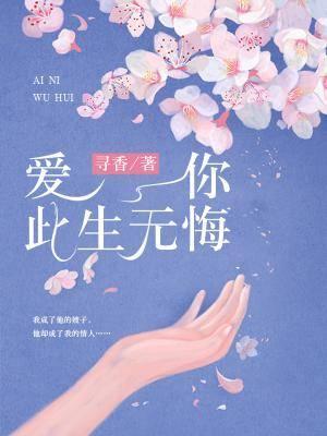 爱你此生无悔封面