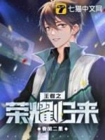王者之荣耀归来封面