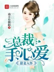 甜妻入怀：总裁手心爱封面