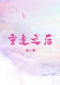 重逢之后封面