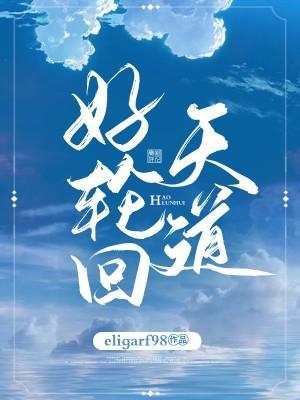 天道好轮回封面
