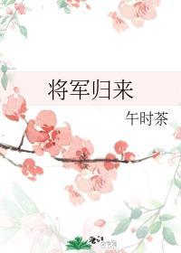 将军归来封面