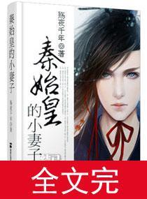 秦始皇的小妻子封面