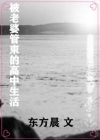 被老婆管束的高中生活封面