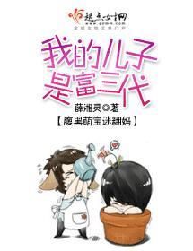 我的儿子是富三代封面