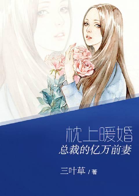 枕上暖婚：总裁的亿万前妻封面