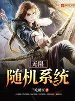 无限随机系统封面
