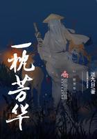 一枕芳华封面