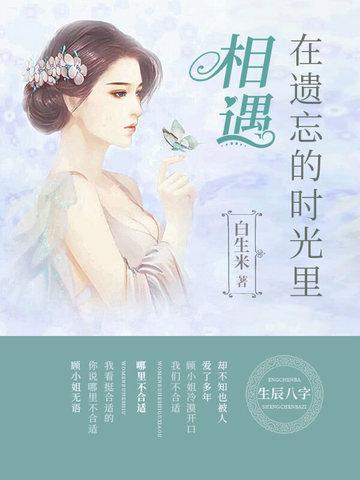 在遗忘的时光里相遇封面
