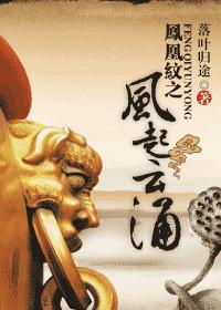 凤凰纹之风起云涌封面