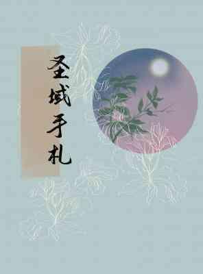 圣域手札封面