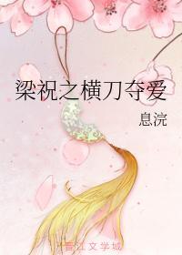 梁祝之横刀夺爱封面