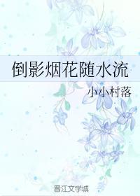 倒影烟花随水流封面