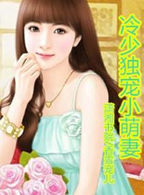 首长大人：诱宠萌妻封面
