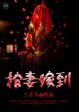 棺妻嫁到封面