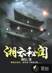 湘云秘闻封面