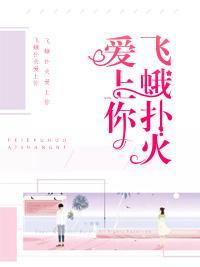 飞蛾扑火爱上你封面