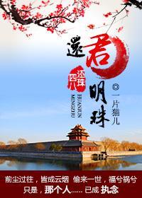 四八穿越还珠之还君明珠封面