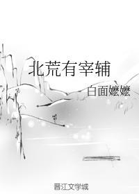 北荒有宰辅封面