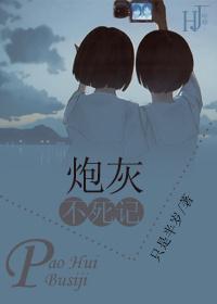 炮灰不死记封面