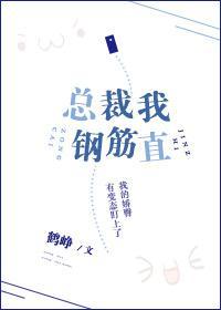 总裁我钢筋直封面