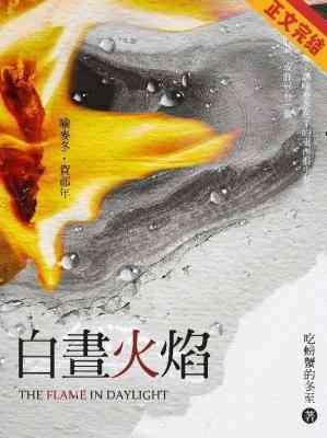 白昼火焰封面