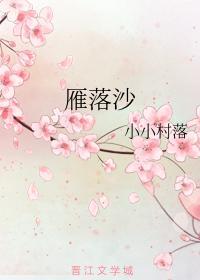 雁落沙封面