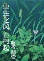 重生之风云再起封面
