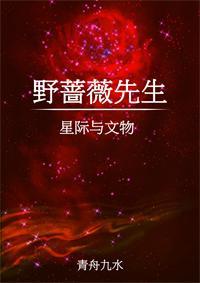 野蔷薇先生封面