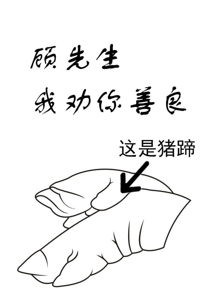 顾先生，我劝你善良封面