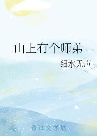 山上有个师弟封面