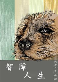 智障人生封面