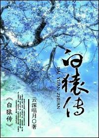 白猿传封面