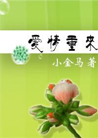 爱情重来——象牙塔里的浪漫封面