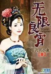 无限良宵封面