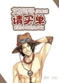 [海贼王]艾斯哥哥，请买单封面