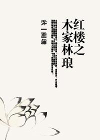 红楼之木家林琅封面