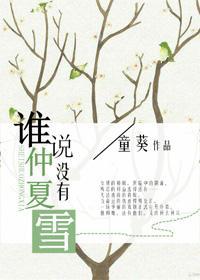 谁说仲夏没有雪封面