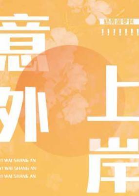 意外上岸封面