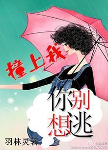 撞上我，你别想逃封面