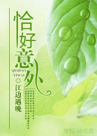 恰好意外封面