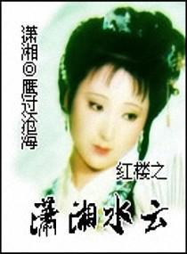 红楼之潇湘水云封面