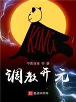 调教开元封面