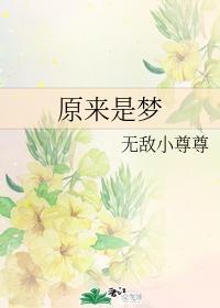 原来是梦封面