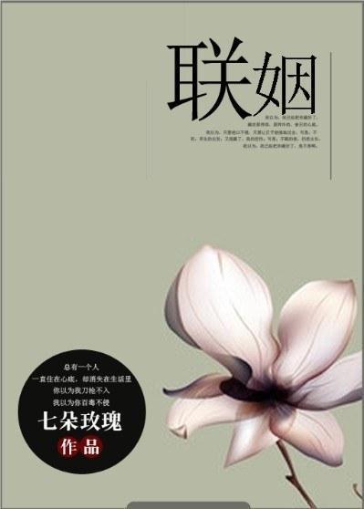 联姻封面