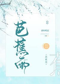 芭蕉雨封面