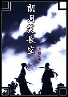 朗月笑长空封面
